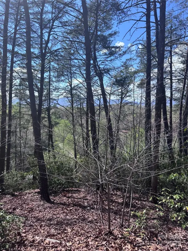 0 High Pines LOOP #162, Lake Lure, NC 28746