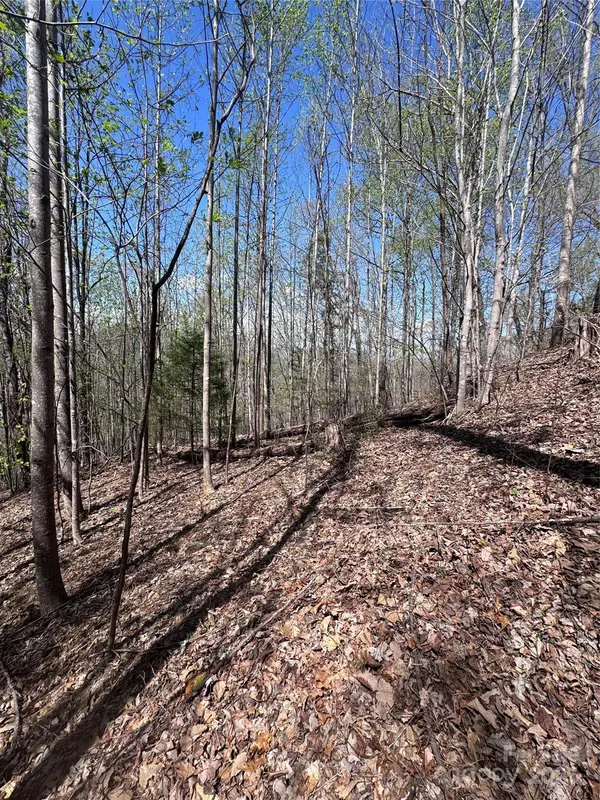 0 High Pines LOOP #158, Lake Lure, NC 28746