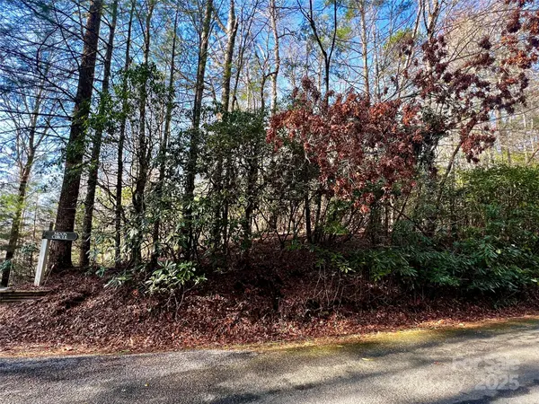 Lot 131 Thunder RD, Brevard, NC 28712