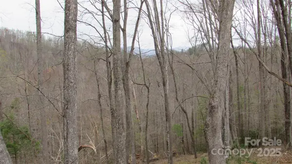#74 Falling Water DR, Green Mountain, NC 28740