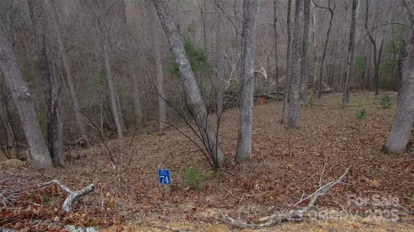 #74 Falling Water DR, Green Mountain, NC 28740