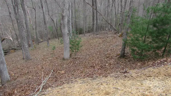 #74 Falling Water DR, Green Mountain, NC 28740