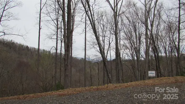 #74 Falling Water DR, Green Mountain, NC 28740