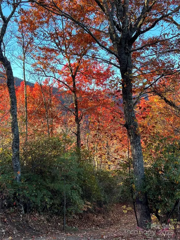 69 & 81 Winter Moon RDG, Sylva, NC 28779