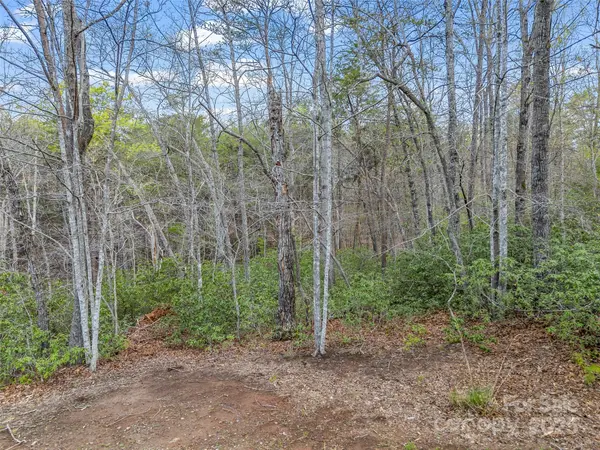 00 Whiteside CT #83, Lake Lure, NC 28746