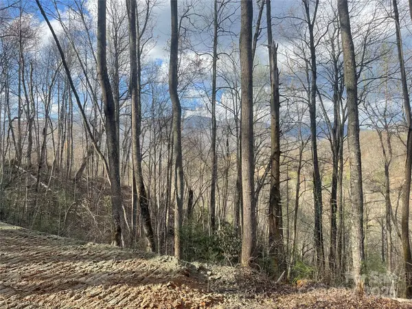 4 Copperhead CV, Sylva, NC 28779
