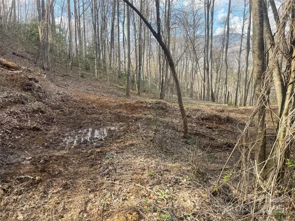 4 Copperhead CV, Sylva, NC 28779