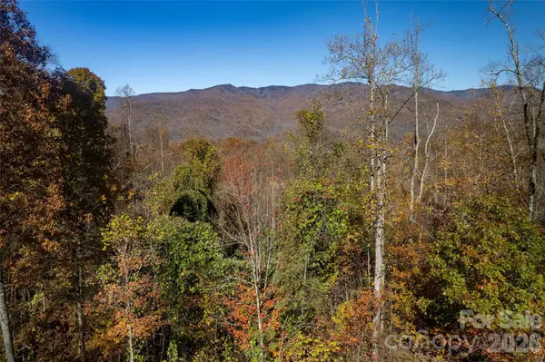 5 Copperhead CV, Sylva, NC 28779