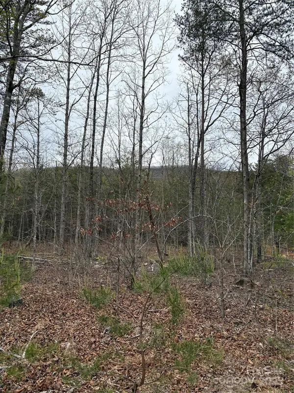 0 Rose Hollow DR #Tract 1, Mill Spring, NC 28756