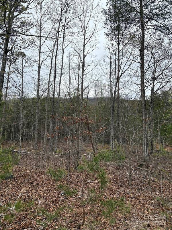 0 Rose Hollow DR #Tract 1, Mill Spring, NC 28756