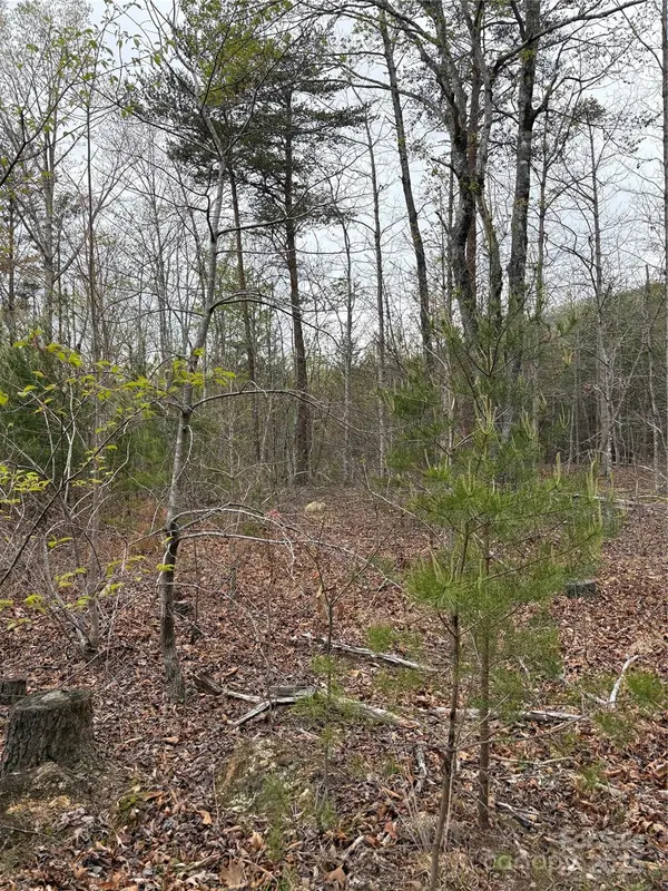 0 Rose Hollow DR #Tract 1, Mill Spring, NC 28756