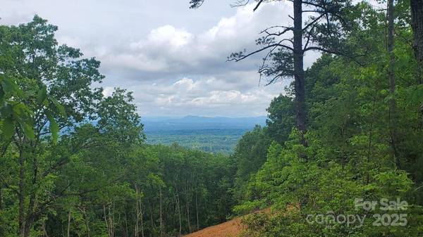 5631 Mineral Springs Mountain AVE, Valdese, NC 28690