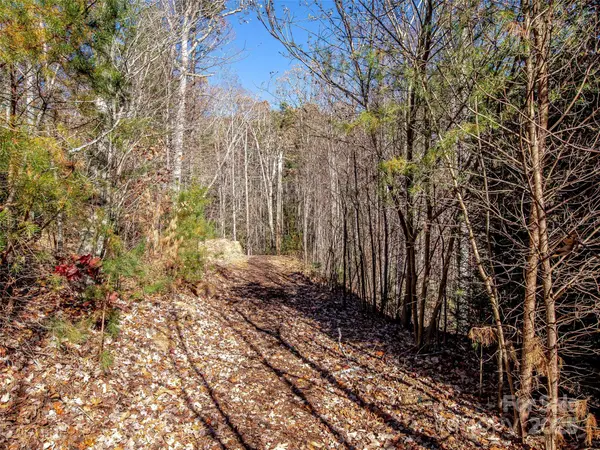 36 Slide Rock WAY, Fairview, NC 28730