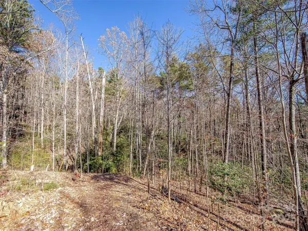 36 Slide Rock WAY, Fairview, NC 28730