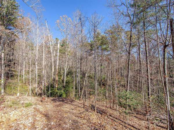 36 Slide Rock WAY, Fairview, NC 28730