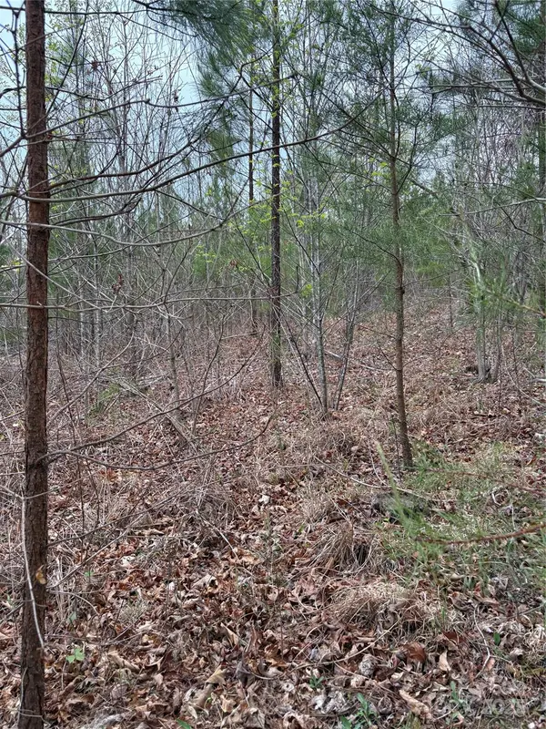0 Rose Hollow DR #Tract 2, Mill Spring, NC 28756