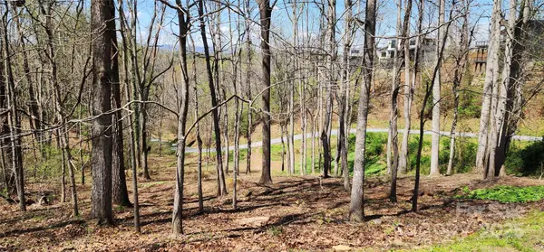 31 Sweet Fern Pkwy #42, Asheville, NC 28804