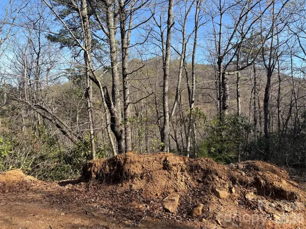 00 Kathy Lake DR #24/25, Edneyville, NC 28792