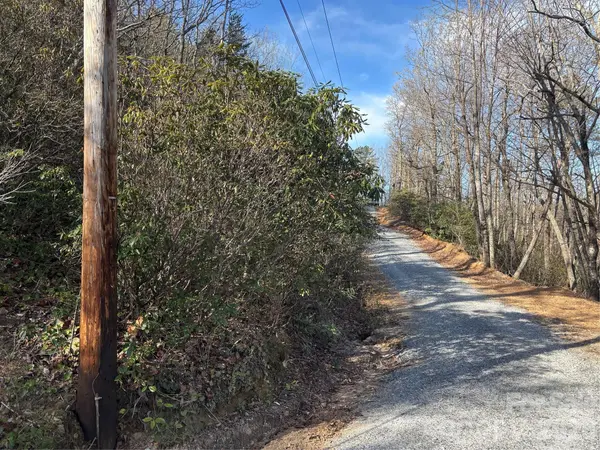 00 Kathy Lake DR #24/25, Edneyville, NC 28792