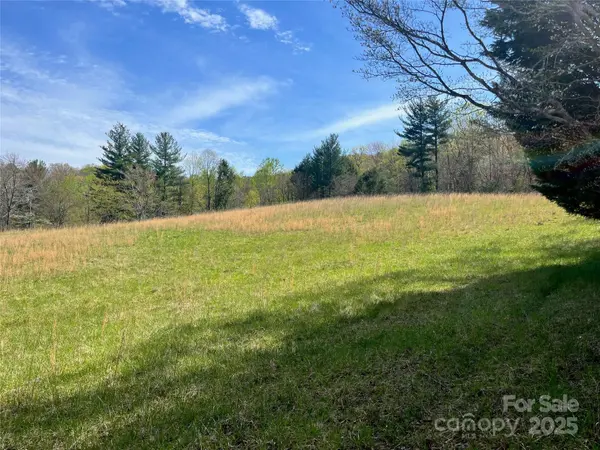 99999 Lollis RD, Candler, NC 28715
