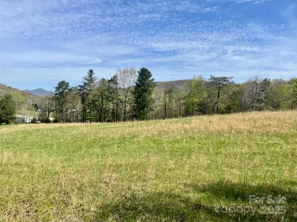 99999 Lollis RD, Candler, NC 28715