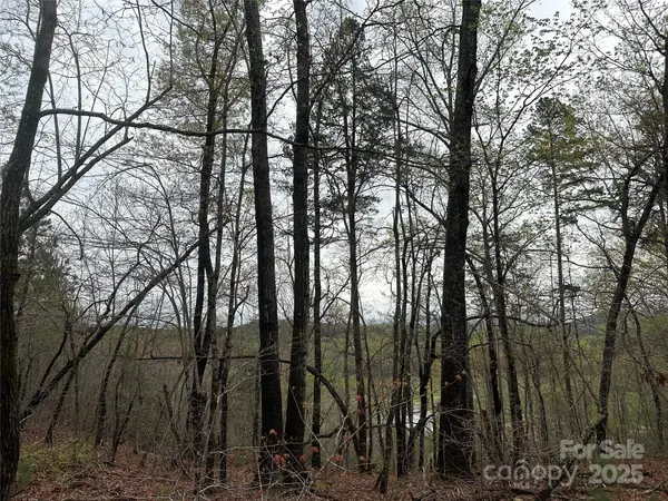 V/L Country Acres DR, Old Fort, NC 28762