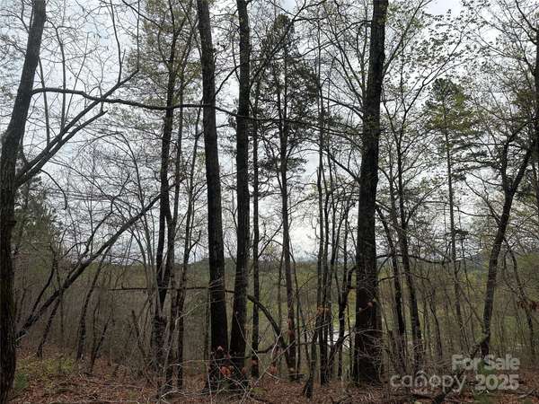 V/L Country Acres DR, Old Fort, NC 28762