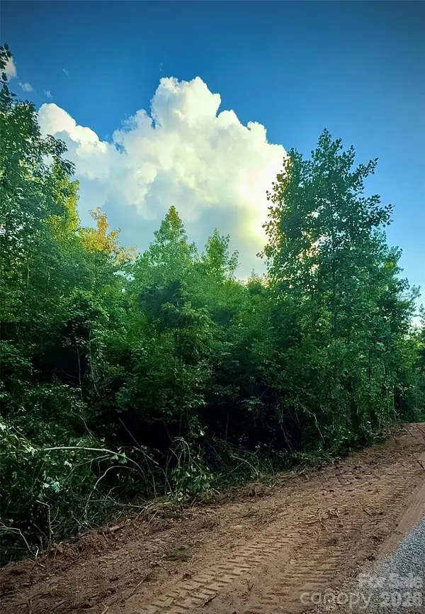 00 Jason RD, Star, NC 27356