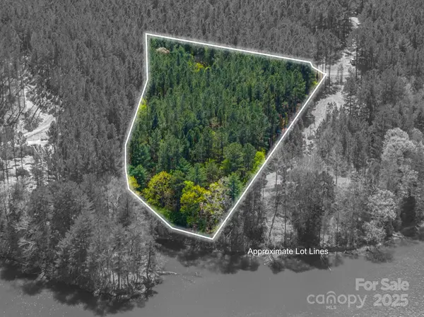 1236 Boardwalk DR, Connelly Springs, NC 28612