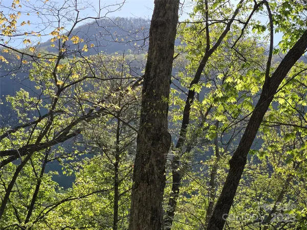 Lot 164 Spanarkel LN, Lake Lure, NC 28746