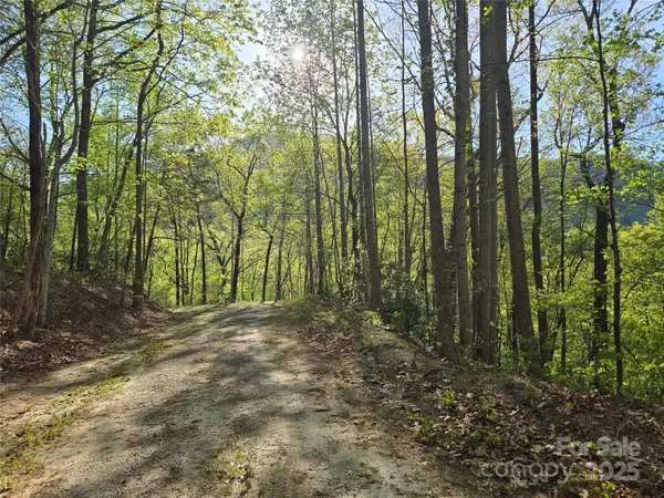 Lot 164 Spanarkel LN, Lake Lure, NC 28746
