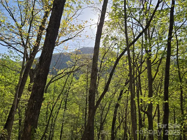Lot 164 Spanarkel LN, Lake Lure, NC 28746