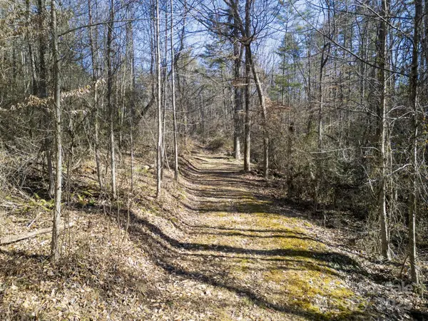 99999 Monticello RD, Weaverville, NC 28787