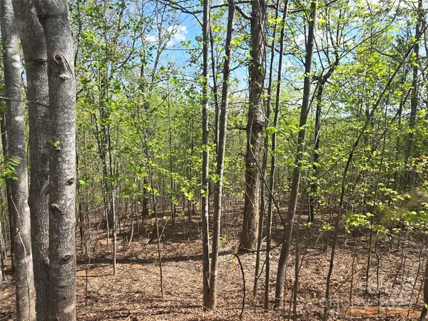 Lot 13 Back Hollow DR, Lake Lure, NC 28746