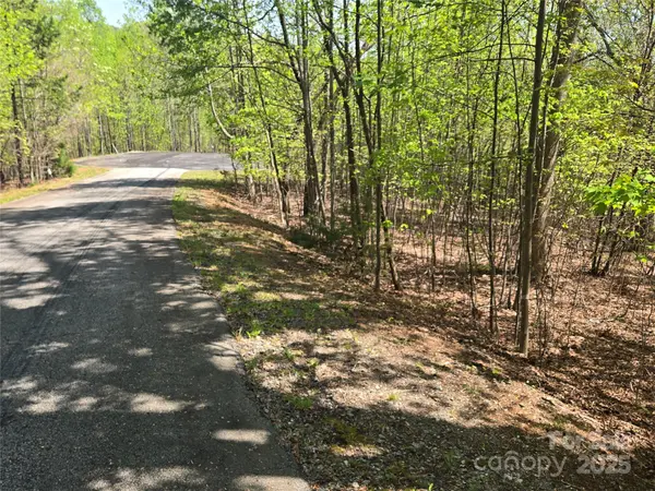 Lot 14 Back Hollow DR, Lake Lure, NC 28746