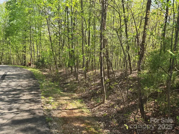 Lot 15 Touch Me Not TRL, Lake Lure, NC 28746