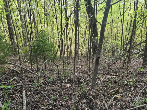 Lot 15 Touch Me Not TRL, Lake Lure, NC 28746