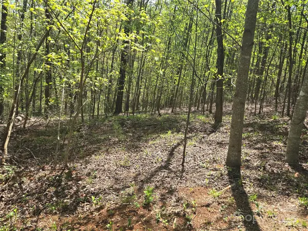 Lot 15 Touch Me Not TRL, Lake Lure, NC 28746