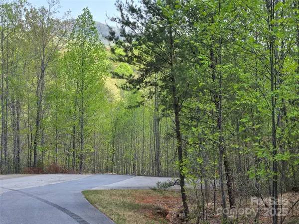 Lot 20 Touch Me Not TRL, Lake Lure, NC 28746