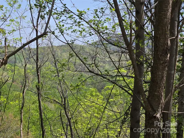 Lot 24 High Rock RDG, Lake Lure, NC 28746