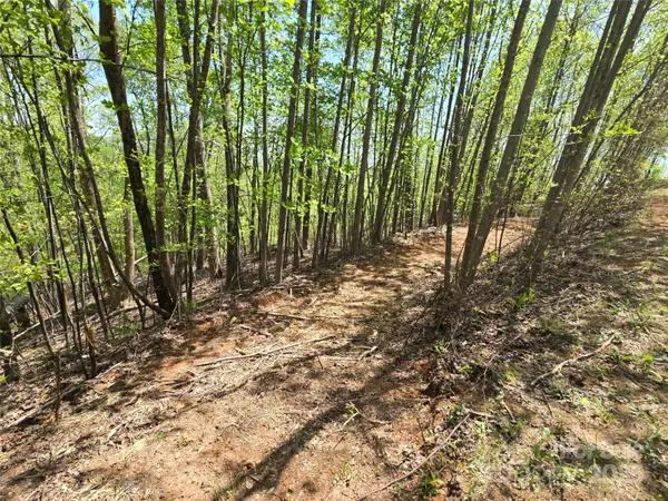 Lot 24 High Rock RDG, Lake Lure, NC 28746