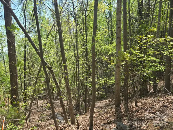 Lot 25 High Rock RDG, Lake Lure, NC 28746