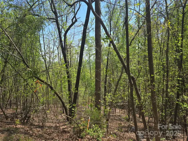 Lot 25 High Rock RDG, Lake Lure, NC 28746