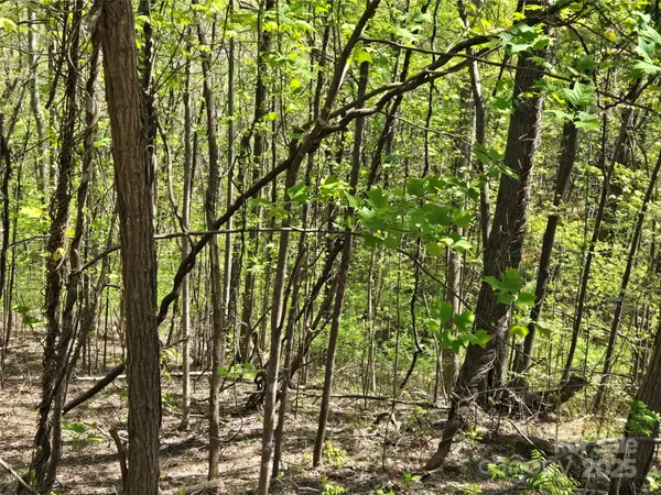 Lot 33 Turkey Fall LN, Lake Lure, NC 28746
