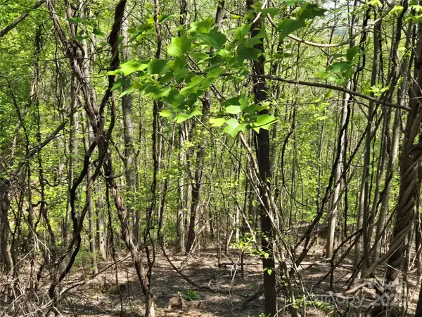 Lot 33 Turkey Fall LN, Lake Lure, NC 28746