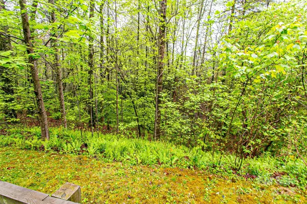 TBD High Hemlock TRL #46, Brevard, NC 28712