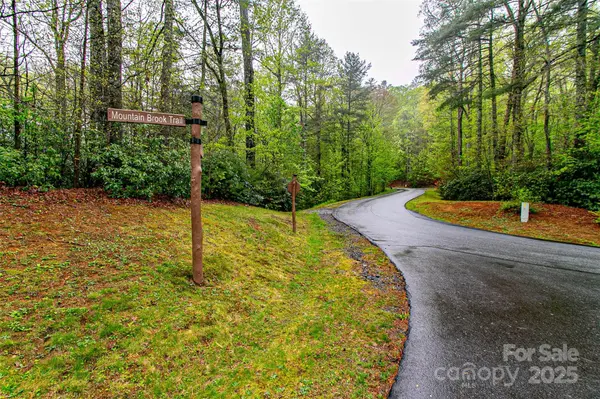 TBD High Hemlock TRL #46, Brevard, NC 28712