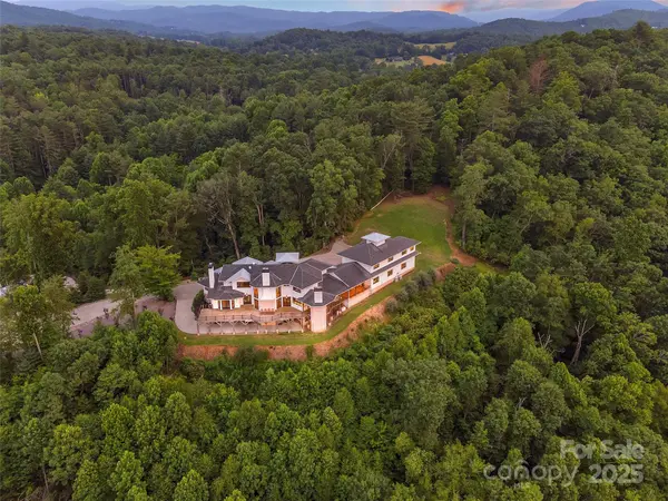 26 Bonnies Cove TRL, Mills River, NC 28759