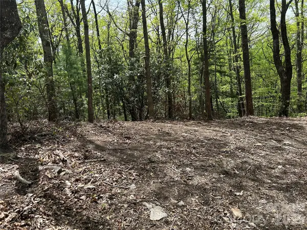 000 John Delk RD #2&6, Hendersonville, NC 28792