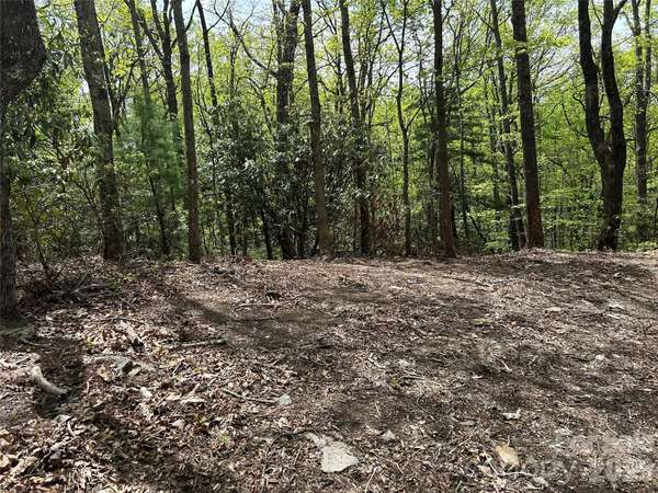 000 John Delk RD #2&6, Hendersonville, NC 28792